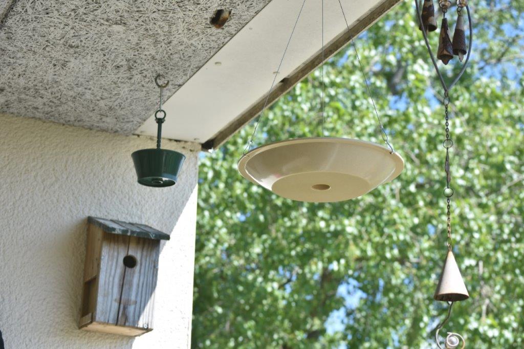 Waarom laten de Pimpelmezen de meelwormen links liggen?